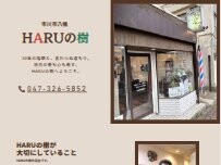 Website Screenshot HARUの樹