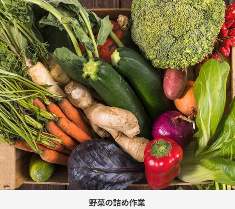 Images 就労継続支援B型事業所Bチームズ