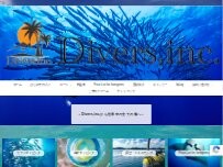 Website Screenshot Divers,inc.