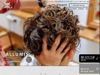 Website Screenshot ALLUMIS