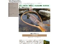 Website Screenshot HidaTakayama RiverFishingGuideService