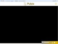 Website Screenshot pulizia