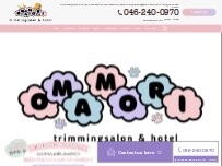 Website Screenshot OMAMORI