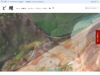 Website Screenshot 韓国料理ど韓