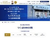 Website Screenshot Next整体KINMAQ つくばANNEX院