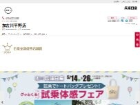 Website Screenshot 兵庫日産自動車株式会社 加古川平野店