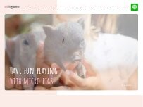 Website Screenshot 【Piglets cafe】予約制マイクロブタカフェ福岡店