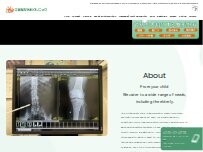 Website Screenshot 日吉整形外科クリニック