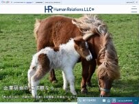 Website Screenshot 合同会社HumanRelations