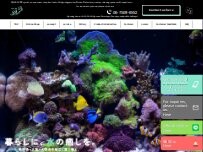 Website Screenshot AQUA SHOP sprout