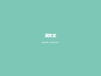Website Screenshot REIKASAI GINZA