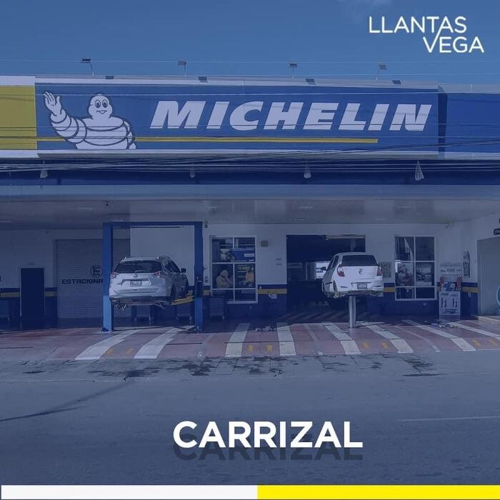 Images Llantas Vega Carrizal