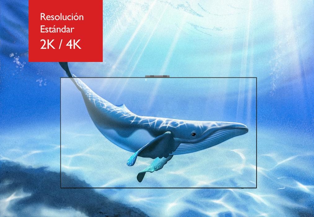 Images LedshowCancun