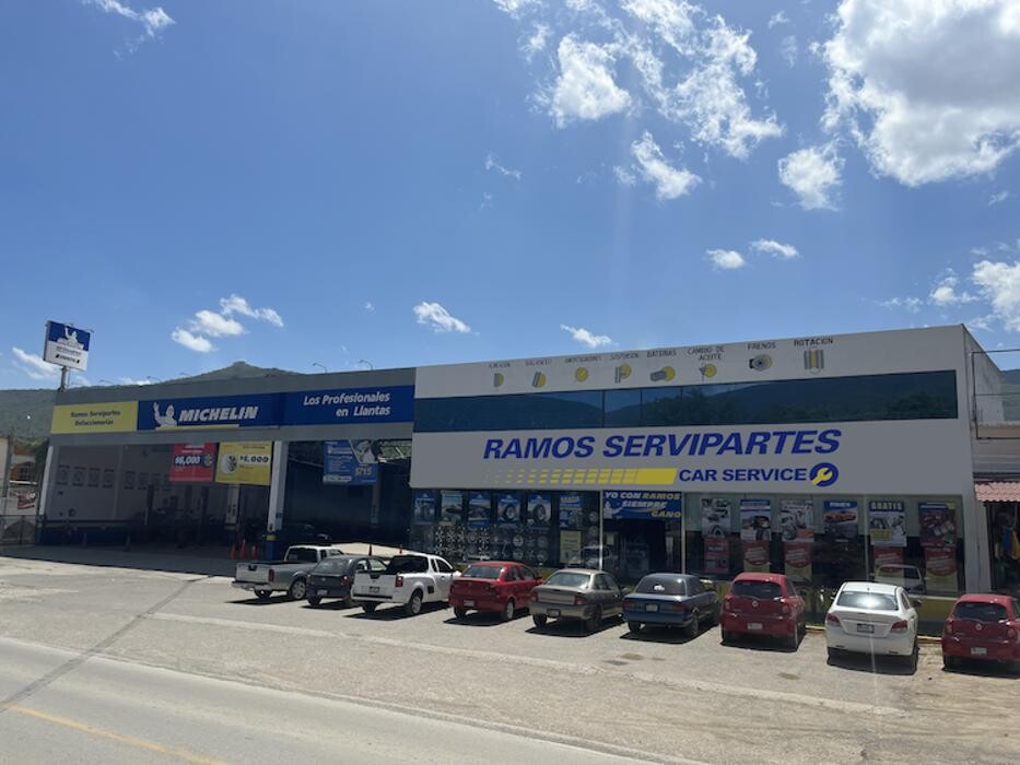 Images Michelin Ramos Servipartes Sucursal Matriz