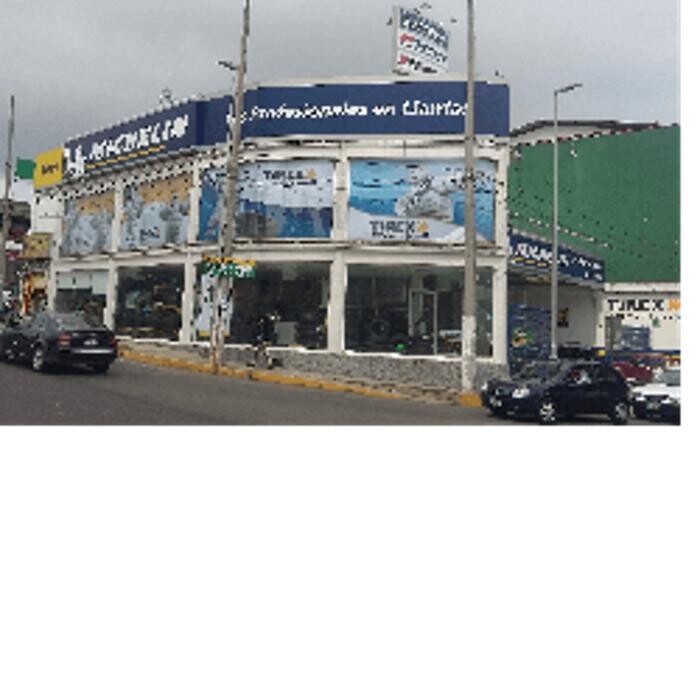 Images TIREX MICHELIN Araucarias
