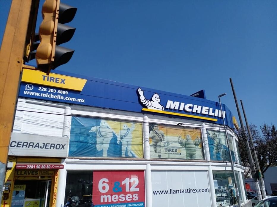 Images TIREX MICHELIN Araucarias