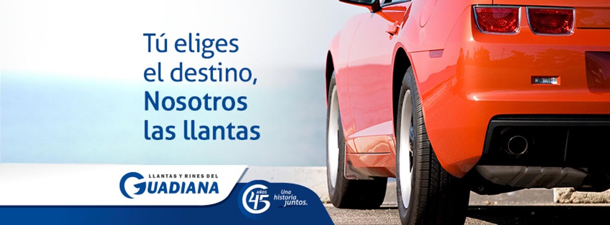 Images Michelin Car Service - Llantas y Rines del Guadiana Francisco Villa 2