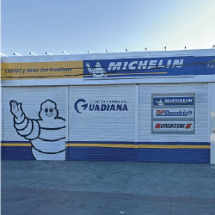 Images Llantas y Rines del Guadiana Suc. Domingo Arrieta