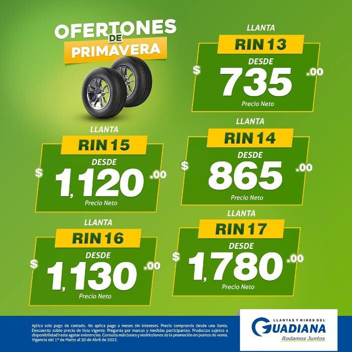 Images Llantas y Rines del Guadiana Suc. Domingo Arrieta