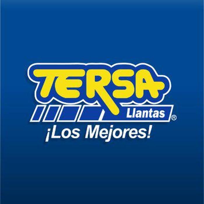 Images TERSA Llantas Patria