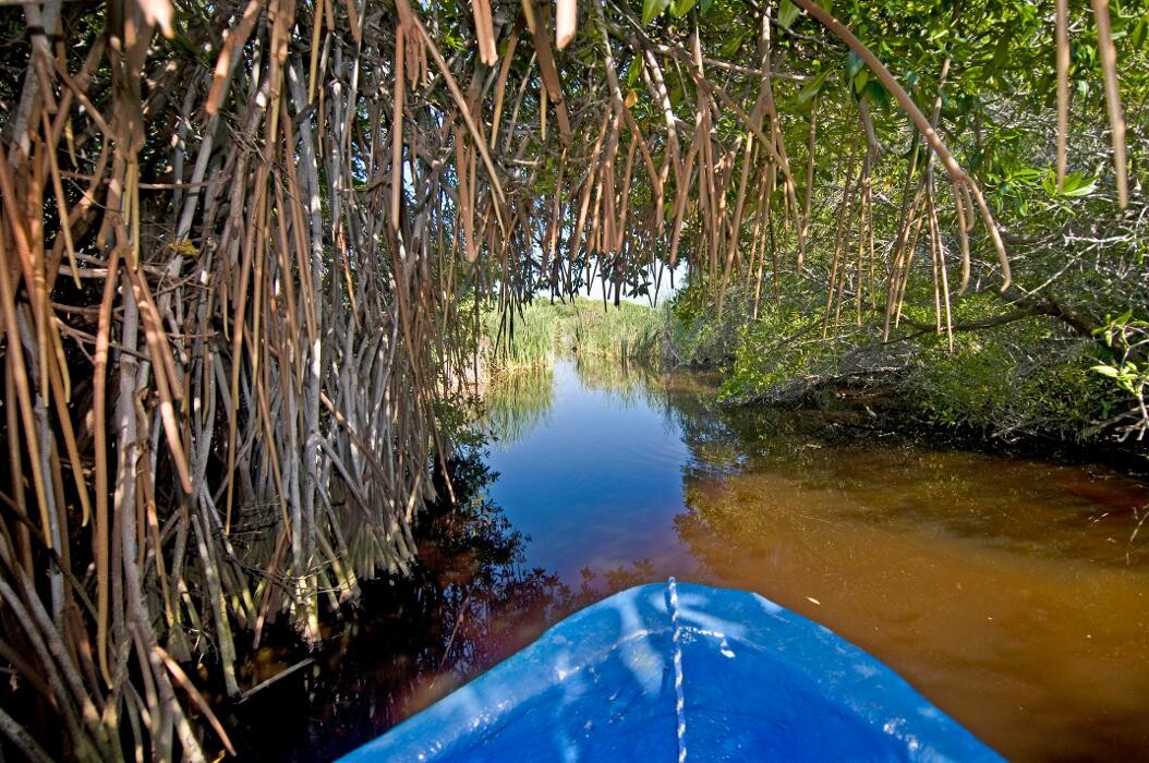 Images Barceló Karmina - All Inclusive