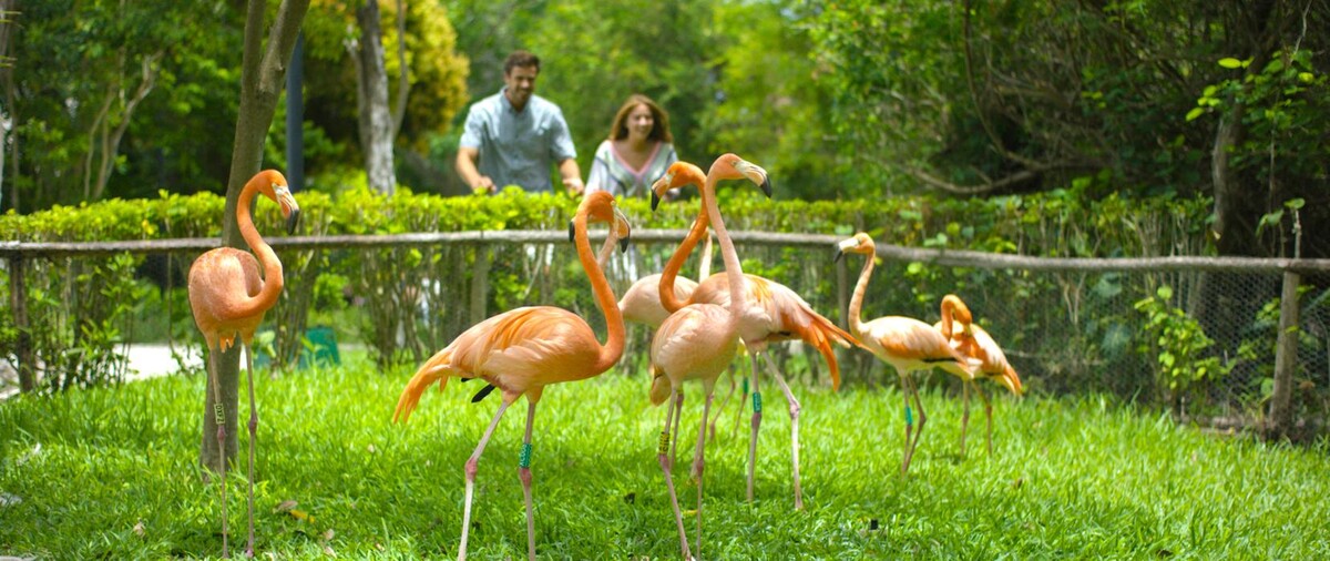 Images Occidental at Xcaret Destination - All Inclusive