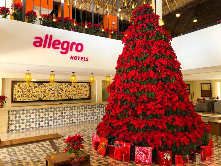 Images Allegro Cozumel - All Inclusive