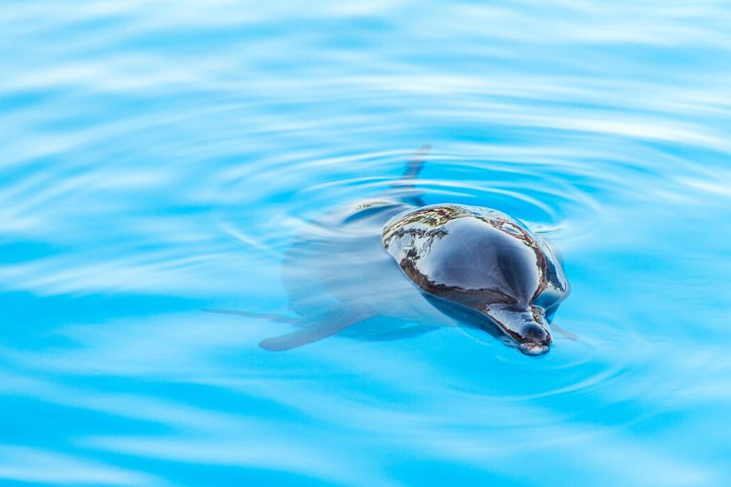 Images Barceló Maya Beach - All Inclusive