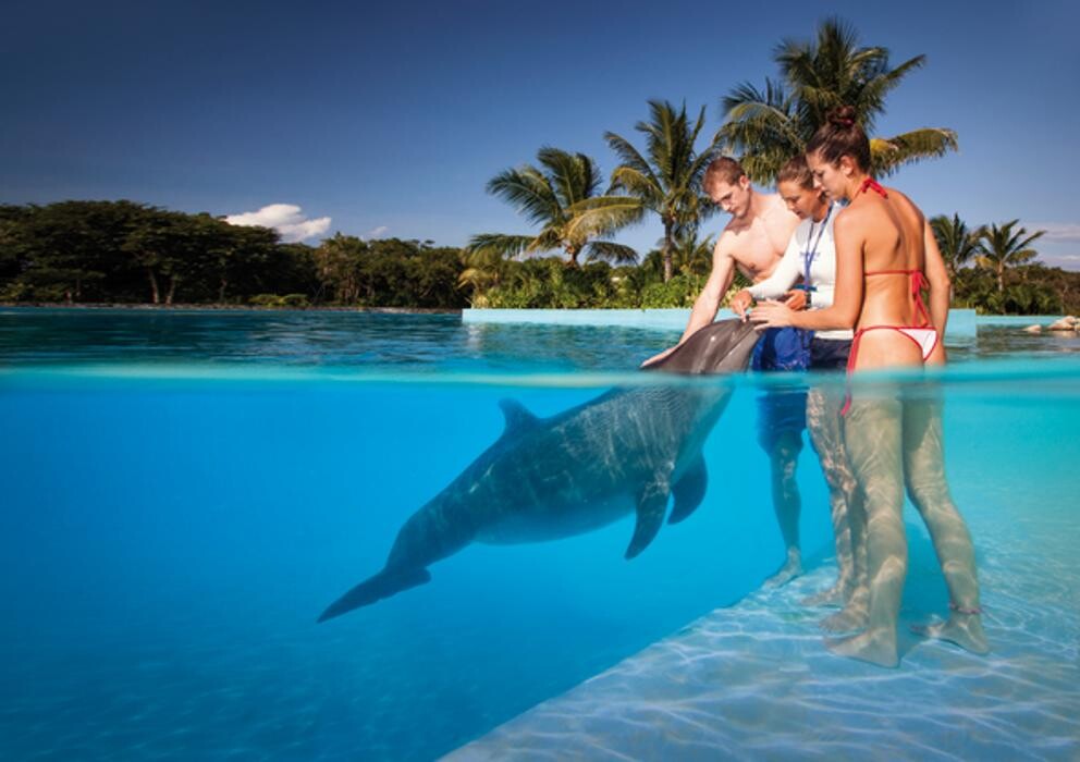 Images Barceló Maya Beach - All Inclusive