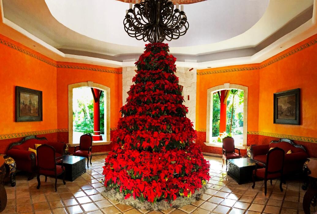 Images Occidental Cozumel