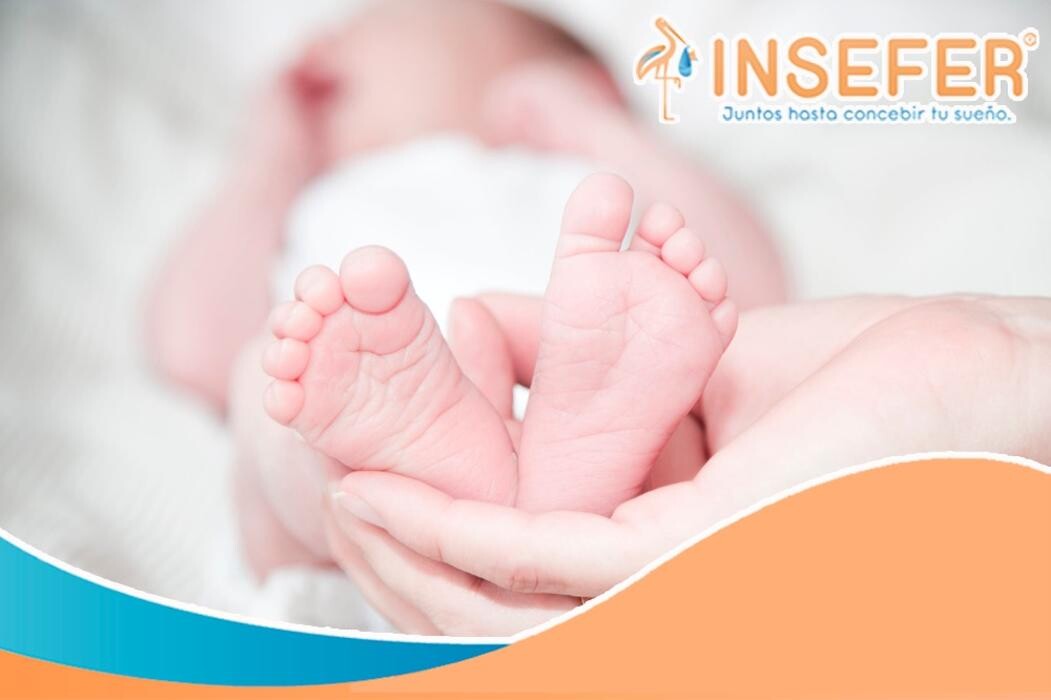 Images INSEFER INSTITUTO DE FERTILIDAD QUERETARO
