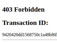 Website Screenshot Telmex