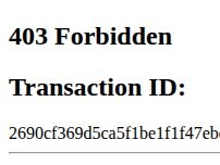 Website Screenshot Telmex