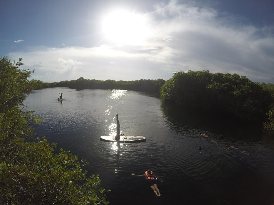 Images Flying Fish Tulum