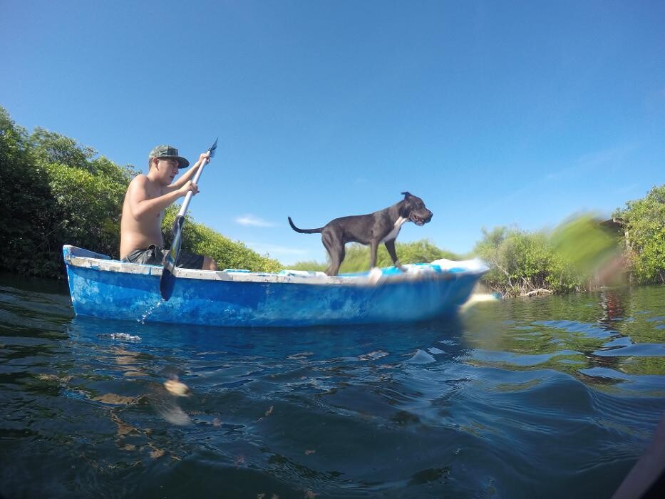 Images Flying Fish Tulum