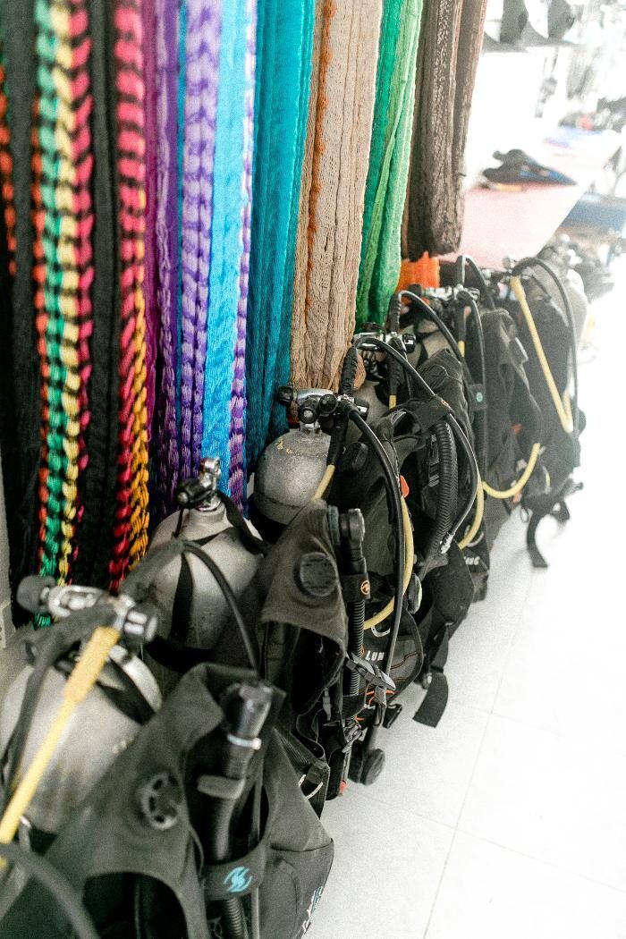 Images Flying Fish Tulum