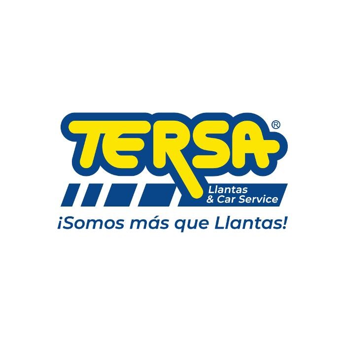 TERSA Cd. Constitución Logo