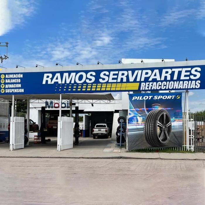 Images Michelin Ramos Servipartes Sucursal Rioverde #3