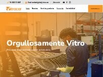 Website Screenshot Vitrocar Rio Bravo