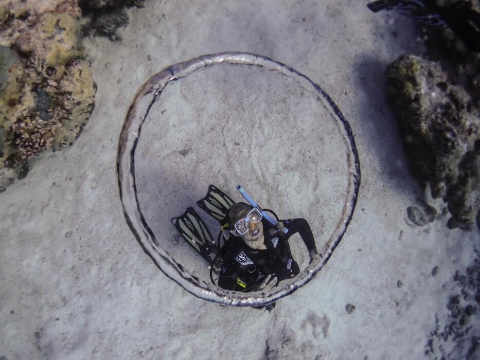 Images Jaguar Divers - Dive Shop in Playa del Carmen