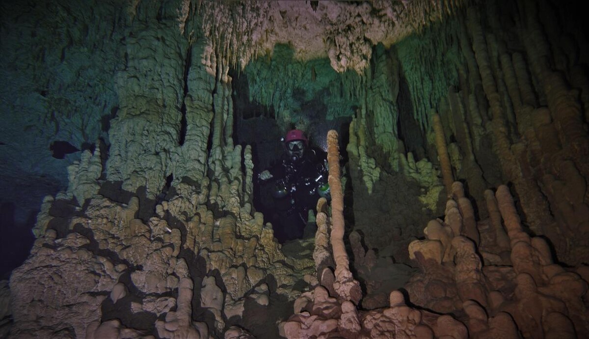 Images Jaguar Divers - Dive Shop in Playa del Carmen