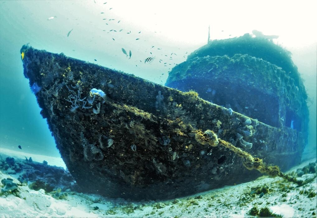 Images Jaguar Divers - Dive Shop in Playa del Carmen