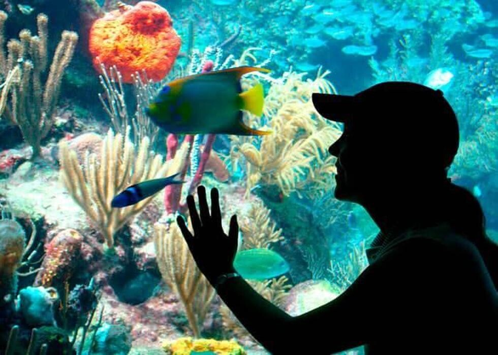 Images My Cancun Tours