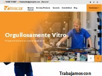 Website Screenshot Vitrocar Macroplaza