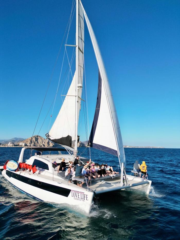 Images Papillon Yachts