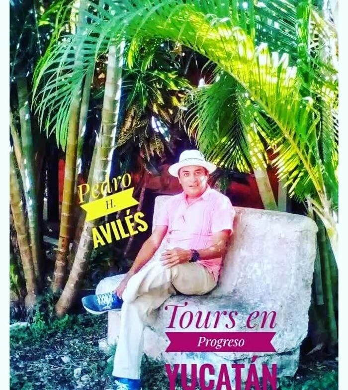 Images Tours en Progreso Yucatán México