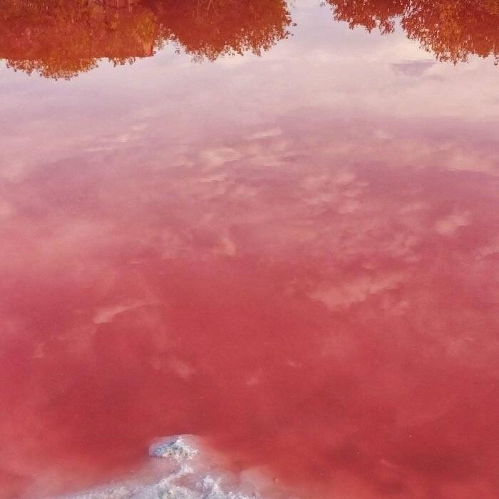 Images Tours en Progreso Yucatán México