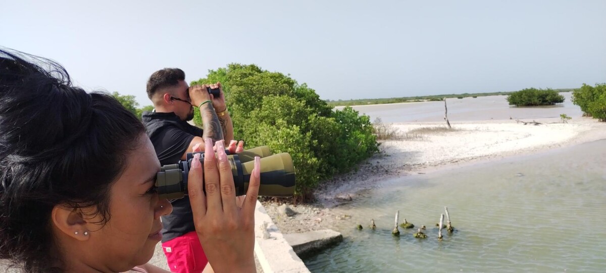 Images Tours en Progreso Yucatán México