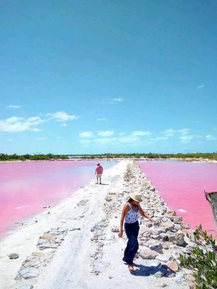 Images Tours en Progreso Yucatán México