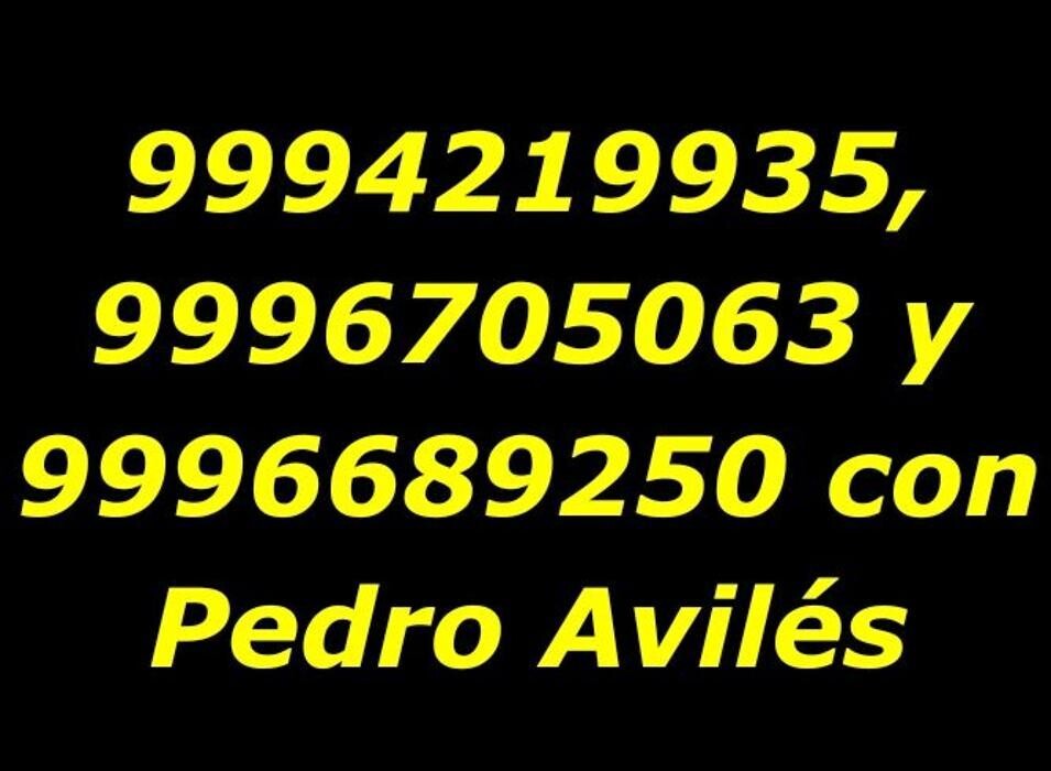 Images Tours en Progreso Yucatán México